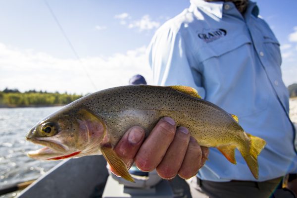 Fly Fishing