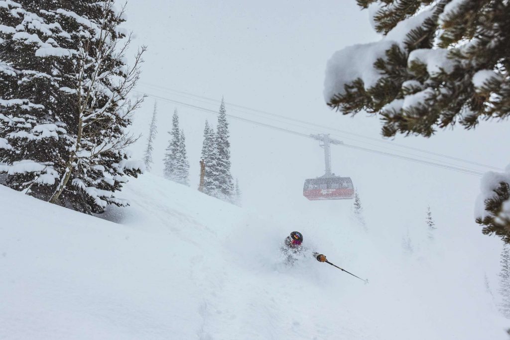 powder skiing